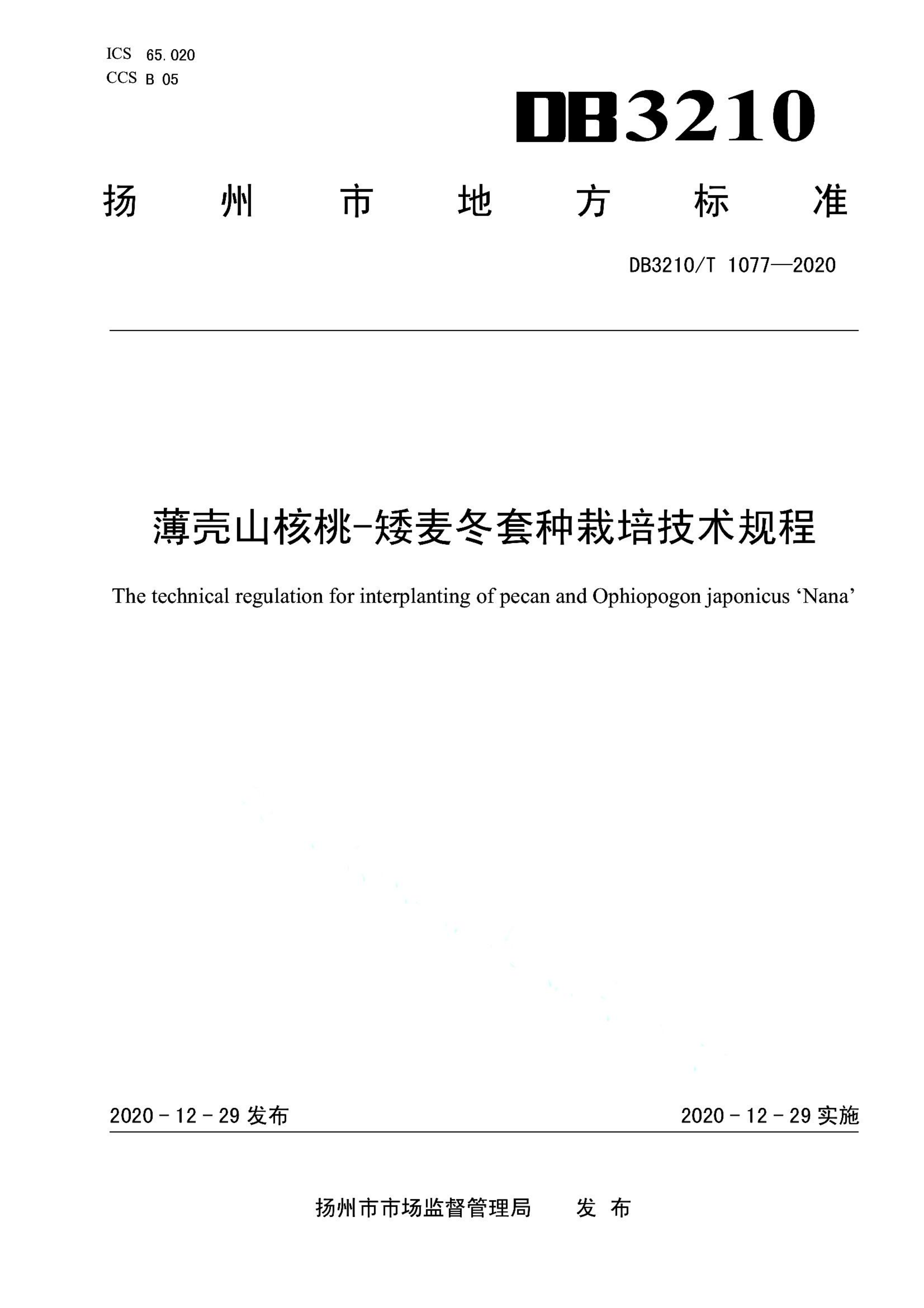资源详情图